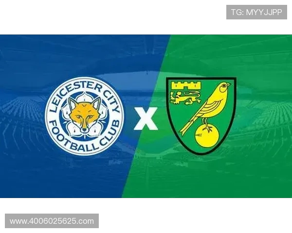 如何通过正规渠道观看西甲直播赛事完整指南